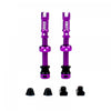 JUICE LUBES - TUBELESS VALVE KITS