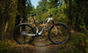 Giant 2026 Anthem Advanced SL SE