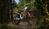 Giant 2026 Anthem Advanced SL SE