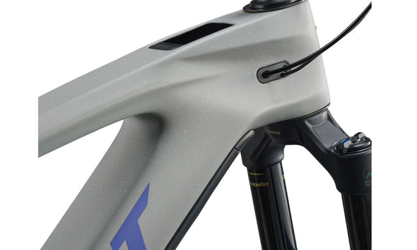 Giant 2026 Reign Advanced E+ 2