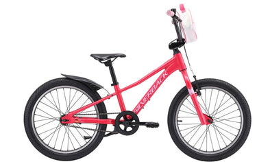 Silverback 2025 Skid 20