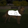 Proviz Reflect360 Dog Jacket - Use Reflective